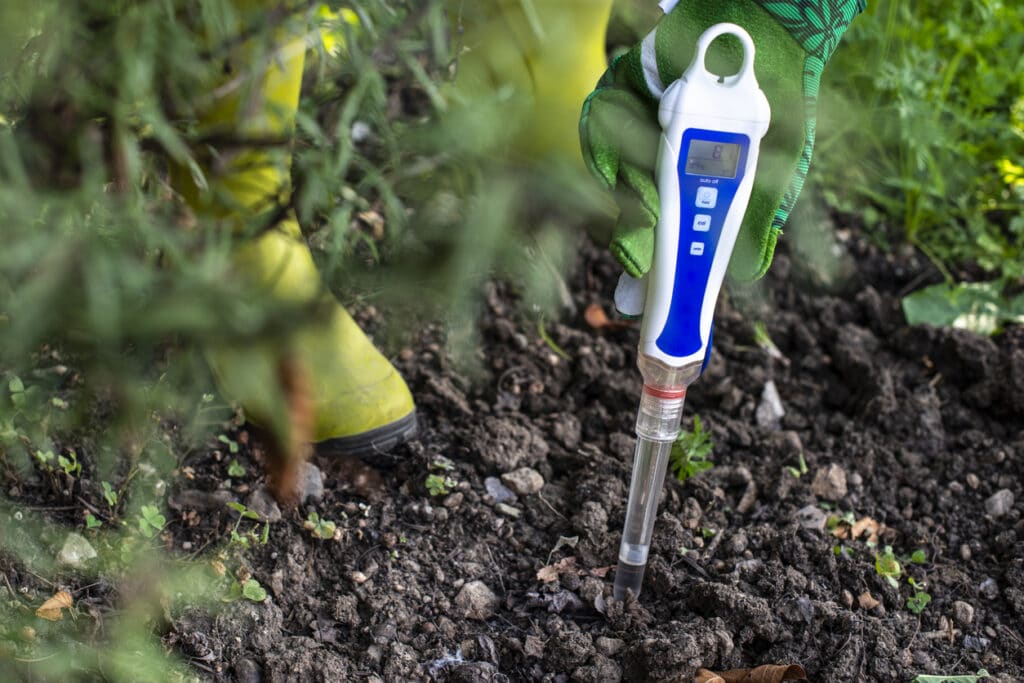 Jardin : 3 astuces faciles pour connaître le pH du sol