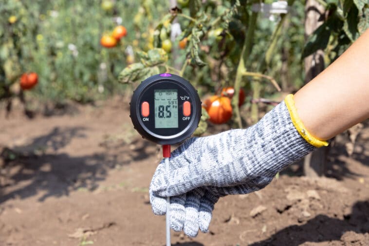 Jardin : 3 astuces faciles pour connaître le pH du sol