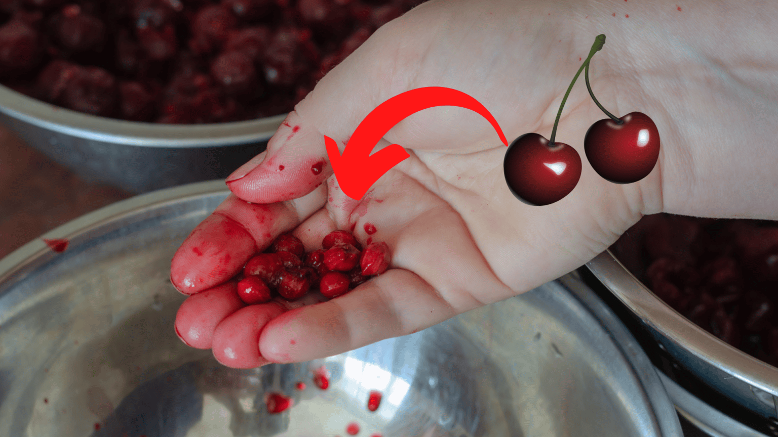 7 astuces pour réutiliser les noyaux de cerise (ne les jetez plus !) — free download
