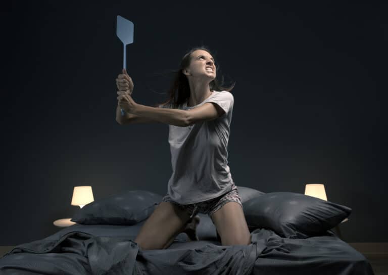 moustique dans la chambre en pleine nuit