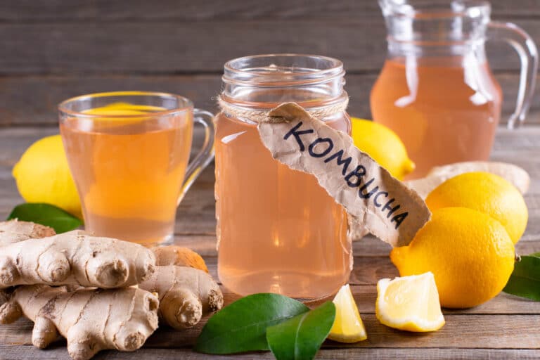 kombucha