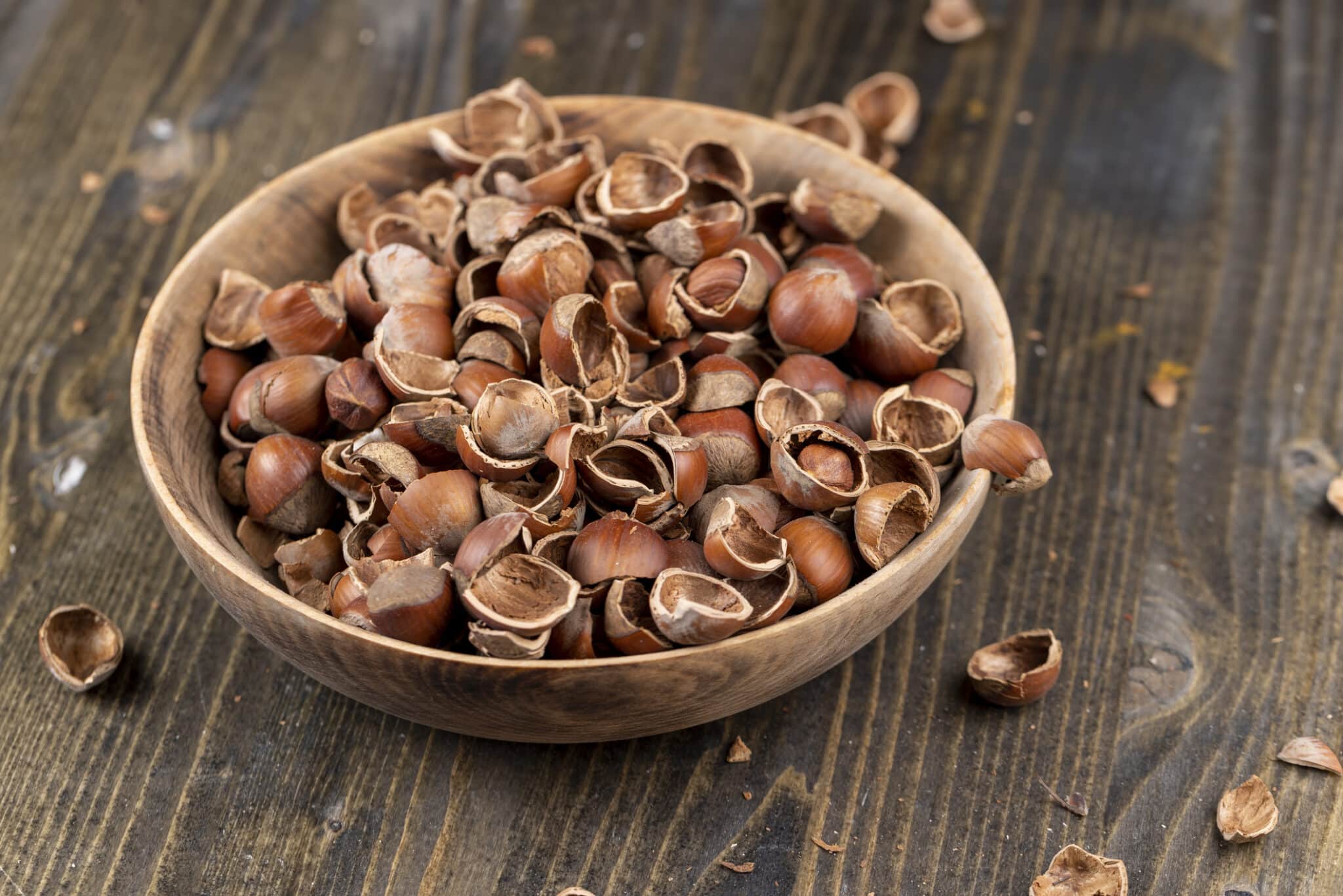 coquilles de noisettes