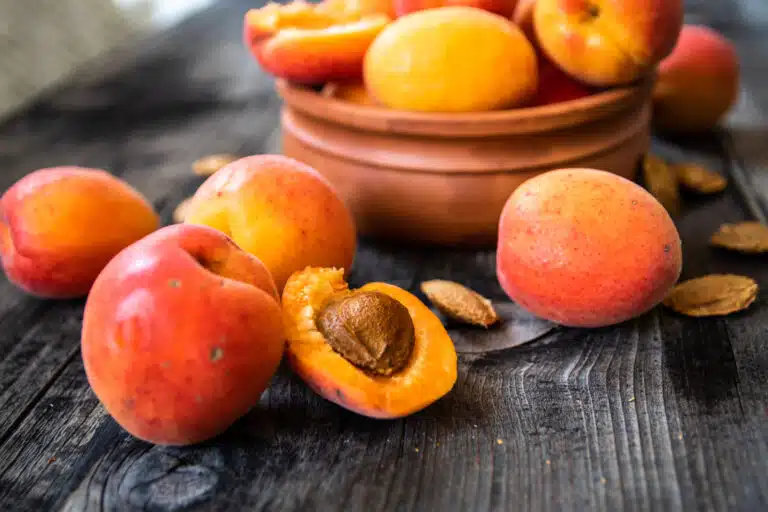 noyaux amandes d'abricot abricots bien m&ucirc;rs