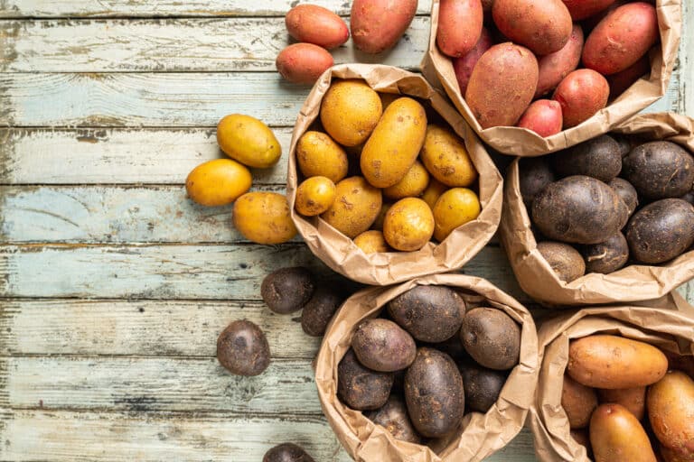 patates diff&eacute;rentes vari&eacute;t&eacute;s de pommes de terre