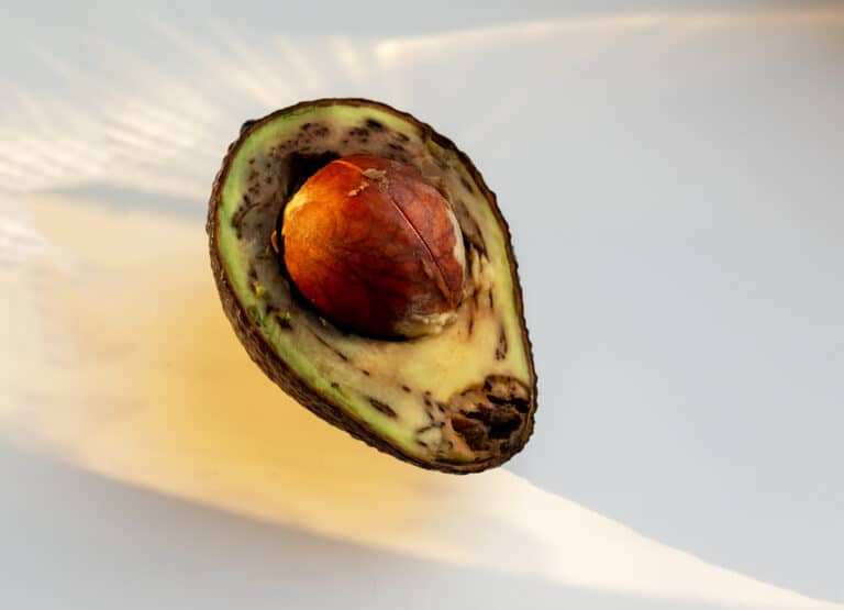 avocat trop m&ucirc;r