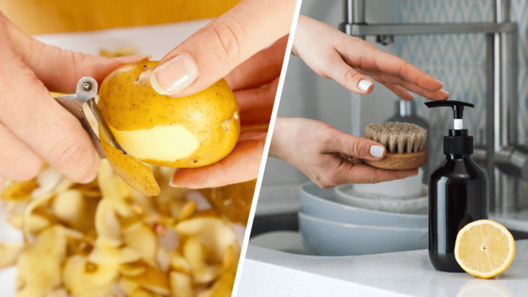 liquide vaisselle produit nettoyant aux &eacute;pluchures de pommes de terre