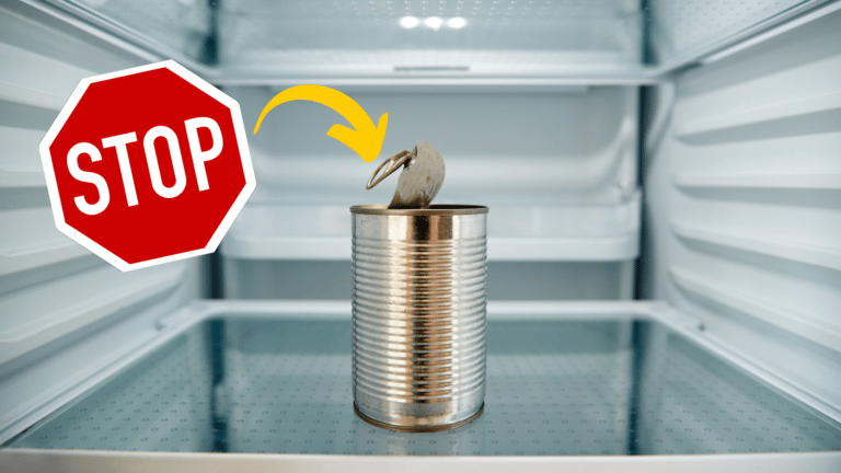 conserve ouverte frigo frigidaire