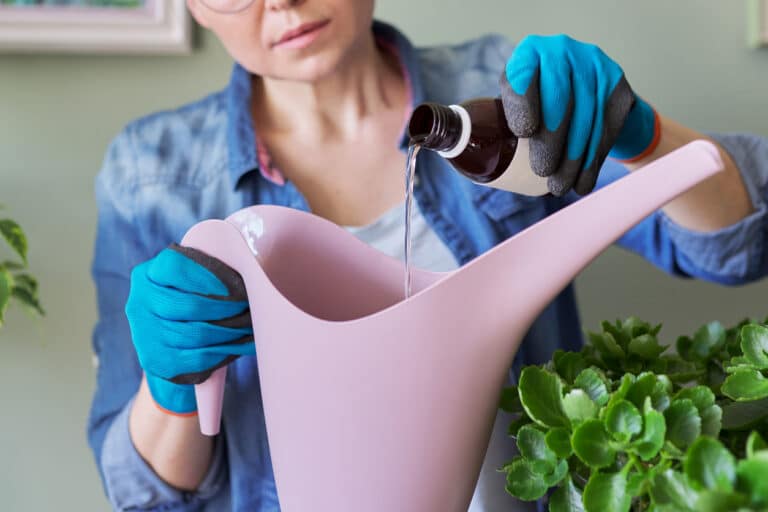 eau oxyg&eacute;n&eacute;e arrosage des plantes
