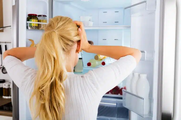 regarder &agrave; l&rsquo;int&eacute;rieur du r&eacute;frig&eacute;rateur probl&egrave;me de frigo