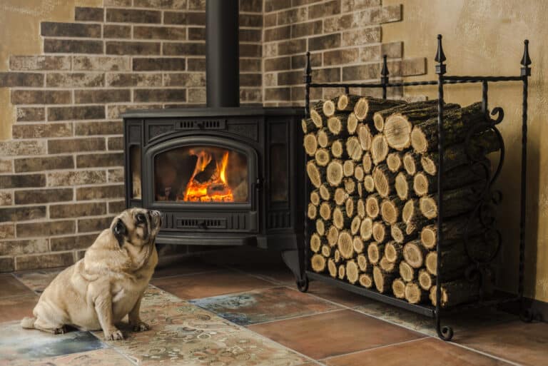 chien vers le po&ecirc;le &agrave; bois chauffage au bois
