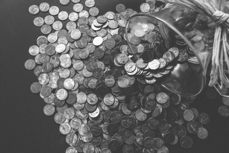pi&egrave;ces de monnaie en noir et blanc