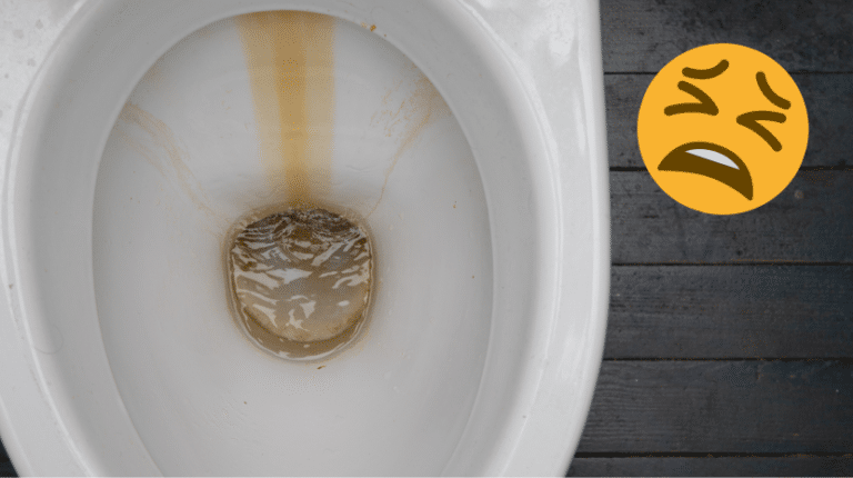 rouille dans les toilettes