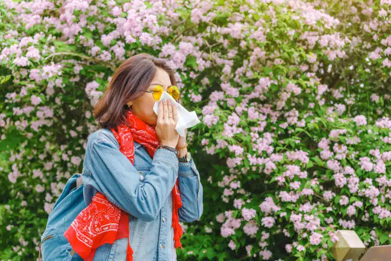 allergie printemps arbres fleurissants et fleuris rhume des foins pollen