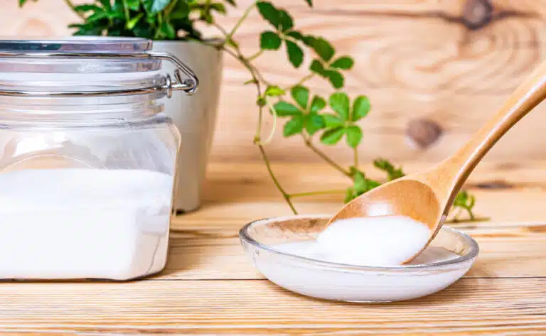 bicarbonate de soude bicarbonate de sodium p&acirc;te