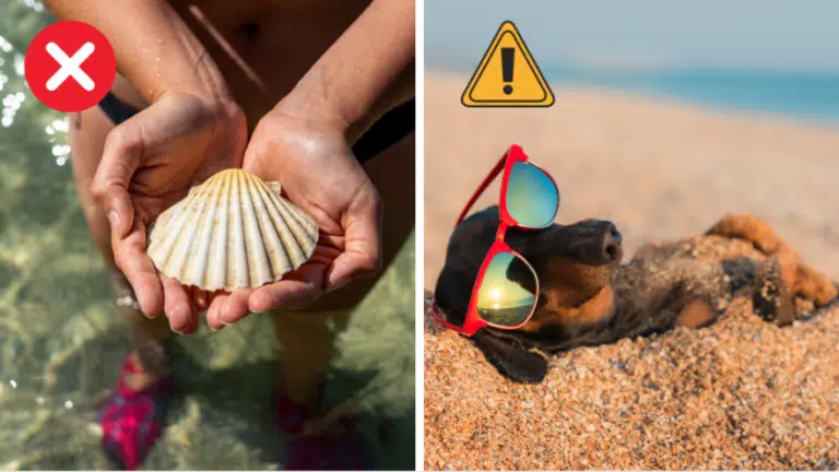 choses interdites sur la plage interdictions