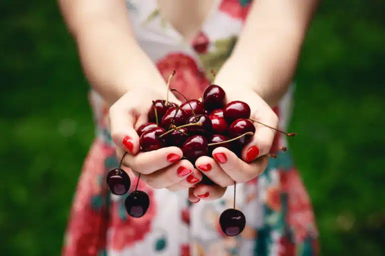 comment choisir ses cerises