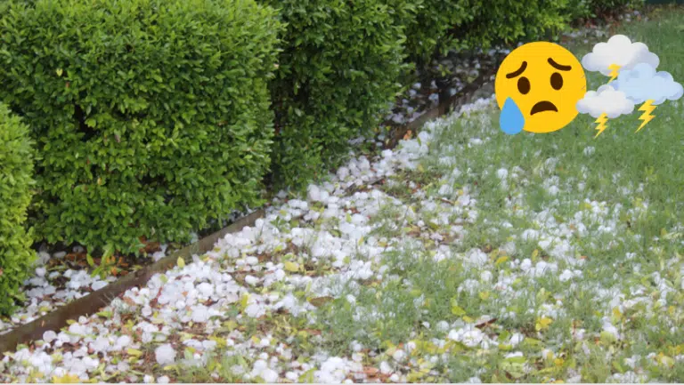 orages temp&ecirc;te &eacute;clair gr&ecirc;le gr&ecirc;lons au jardin