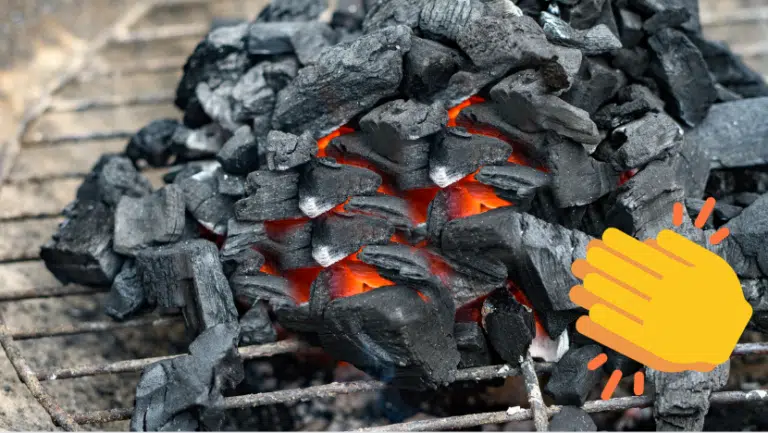 utilisations des cendres de charbon de bois du barbecue id&eacute;es recyclage