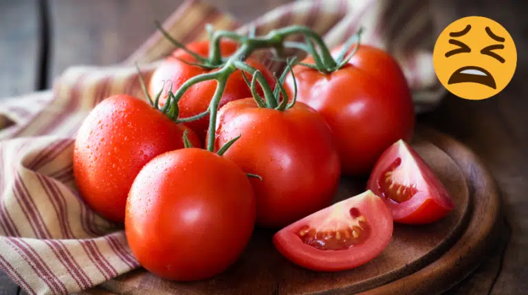 erreurs tomates