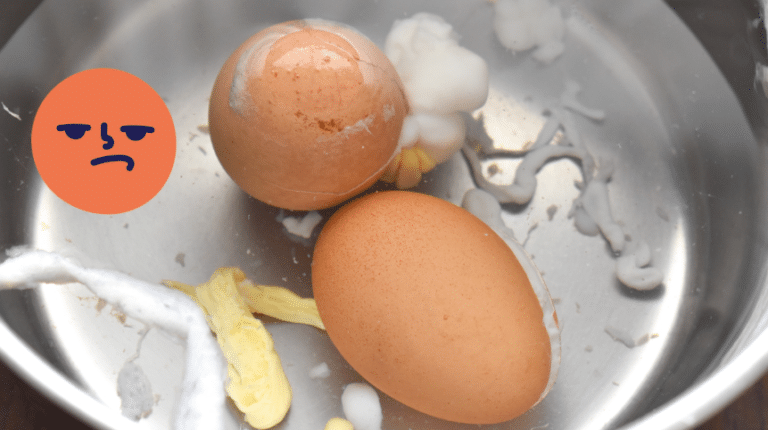 oeuf cuisson &agrave; l'eau &eacute;viter coquille cass&eacute;e
