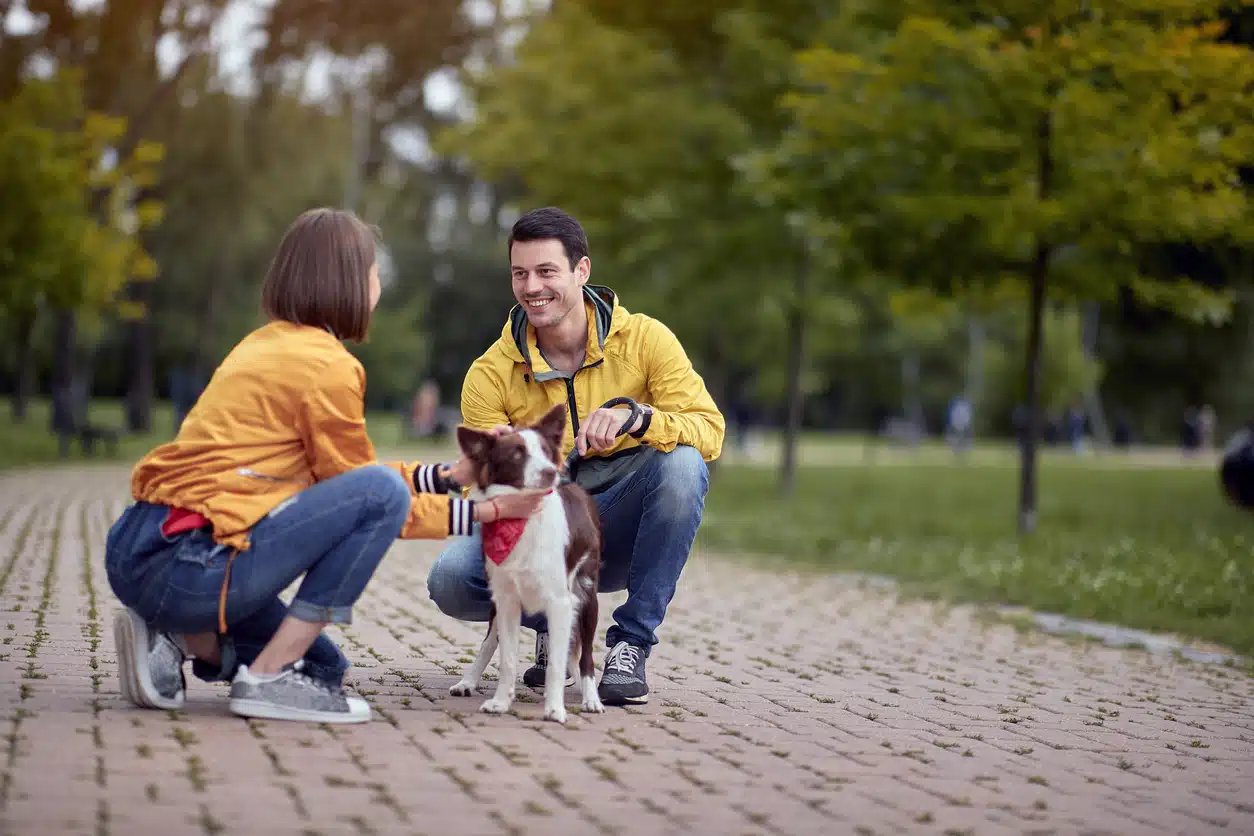 prot&eacute;ger chien des voleurs en promenade attention aux inconnus