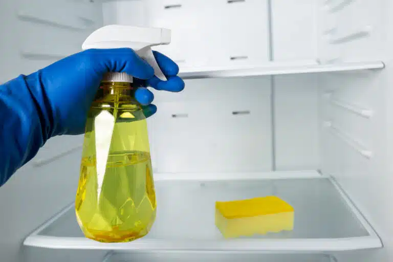 Spray détergent pour le nettoyage du réfrigérateur gants pour nettoyer nettoyant