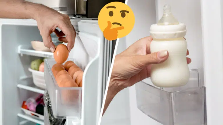 aliments et produits &agrave; ne pas conserver sur la porte du frigo lait pour b&eacute;b&eacute; et oeufs au r&eacute;frig&eacute;rateur