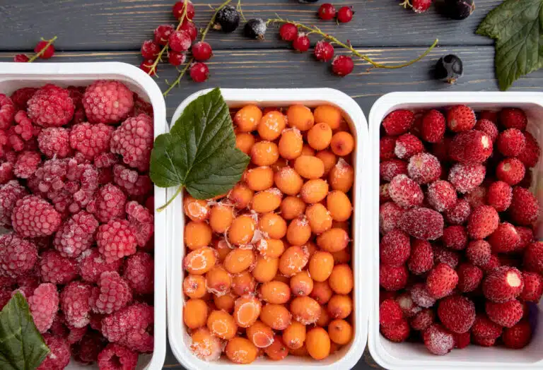 congeler fruits