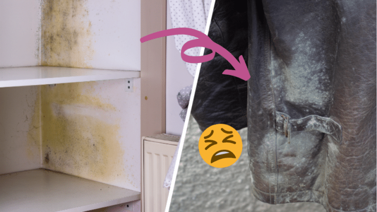 Comment liminer La Moisissure Dans Une Armoire 7 Astuces Top comment-liminer-la-moisissure-dans-une-armoire-7-astuces-top