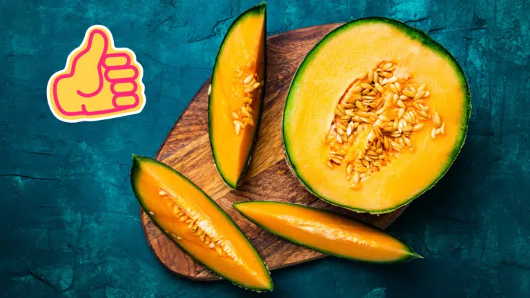 p&eacute;pins de melon graines