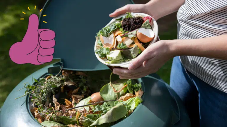 bac de compostage compost gaspillage alimentaire nourriture accélérateurs naturels de décomposition