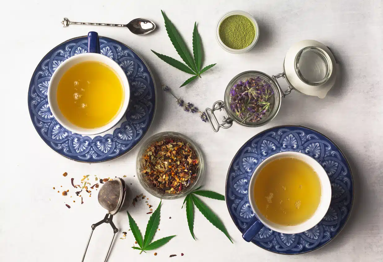 Th&eacute; cbd tisane cannabis sativa infusion cannabidiol naturelle