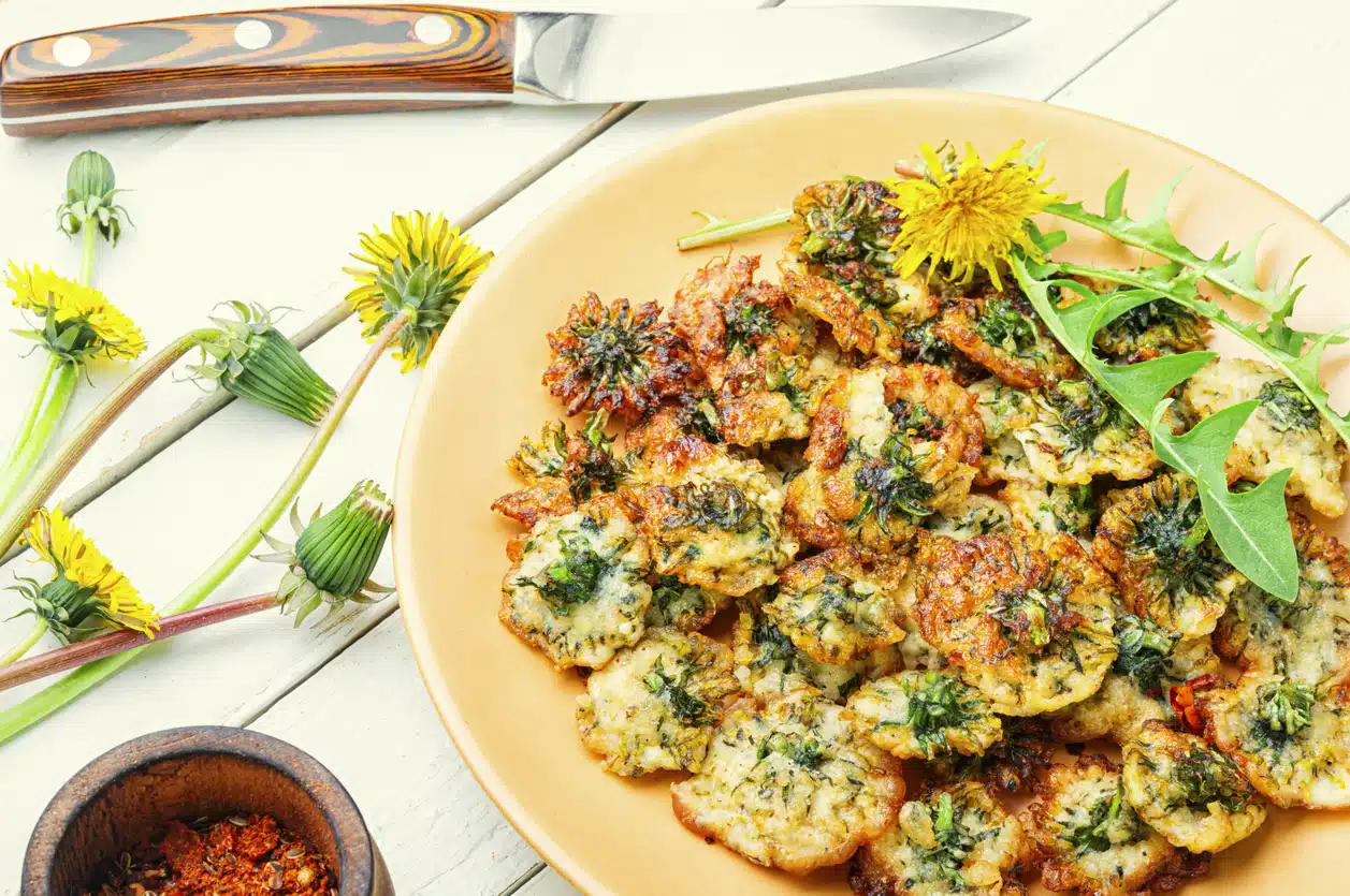 Pissenlit de friture beignets aux pissenlits recettes sucr&eacute;es ou sal&eacute;es