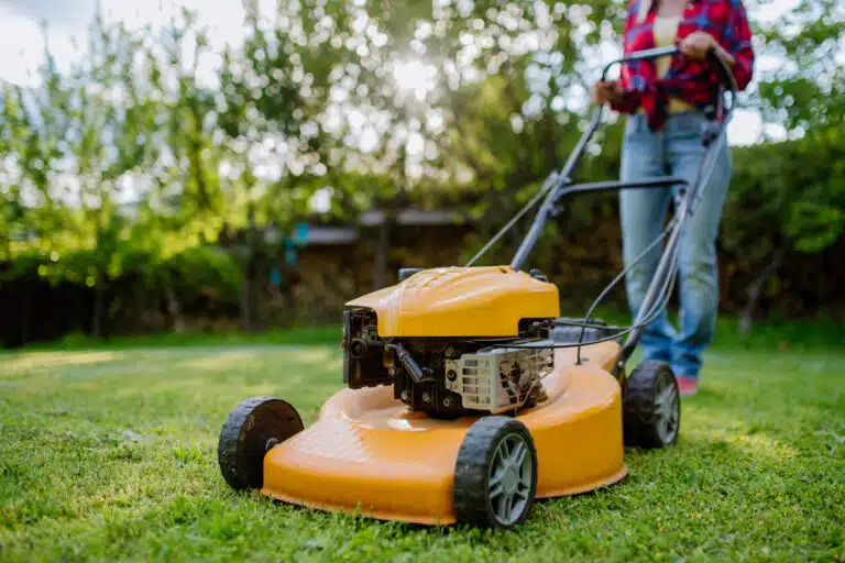 tondeuse à gazon dans le jardin tondre la pelouse tonte travaux de jardinage