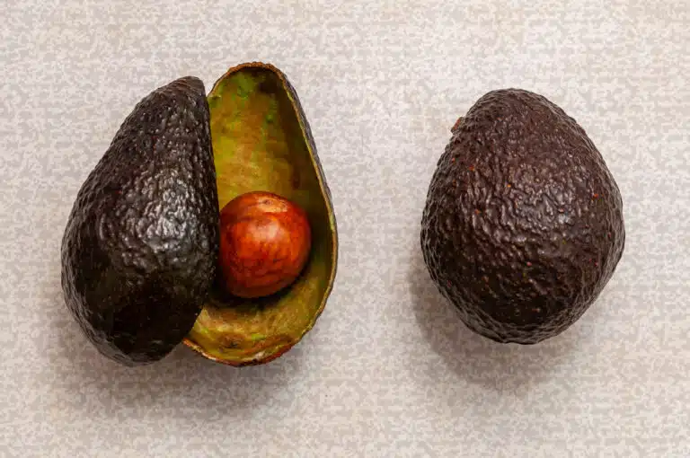 avocat peau de l'avocat pelure noyau utilisations recyclage