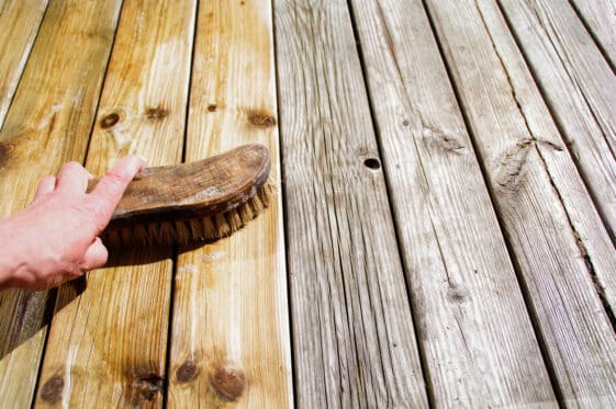 Sel d'oseille : 7 utilisations folles et incontournables de l'acide