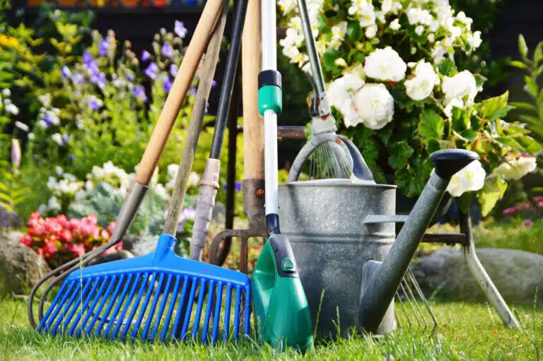Arrosoir et diff&eacute;rents outils pour le jardin &eacute;quipement de jardinage