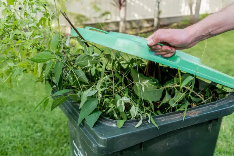 Conteneur rempli de d&eacute;chets verts de jardin compost bac de compostage plantes invasives toxiques malades trait&eacute;es chimiquement
