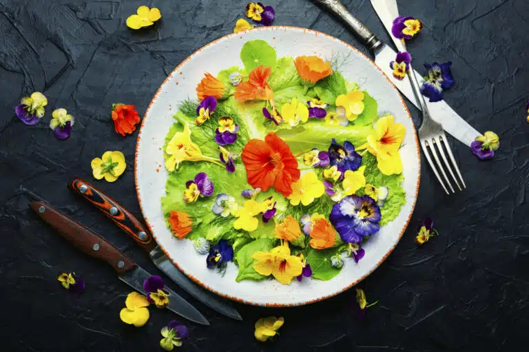 Salade de fleurs comestibles dans l&rsquo;assiette