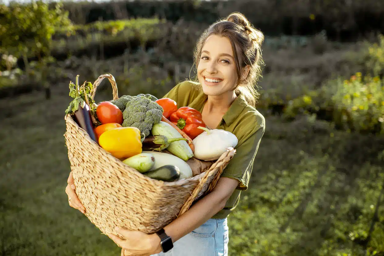 moisson r&eacute;colte fra&icirc;che de l&eacute;gumes dans le jardin potager