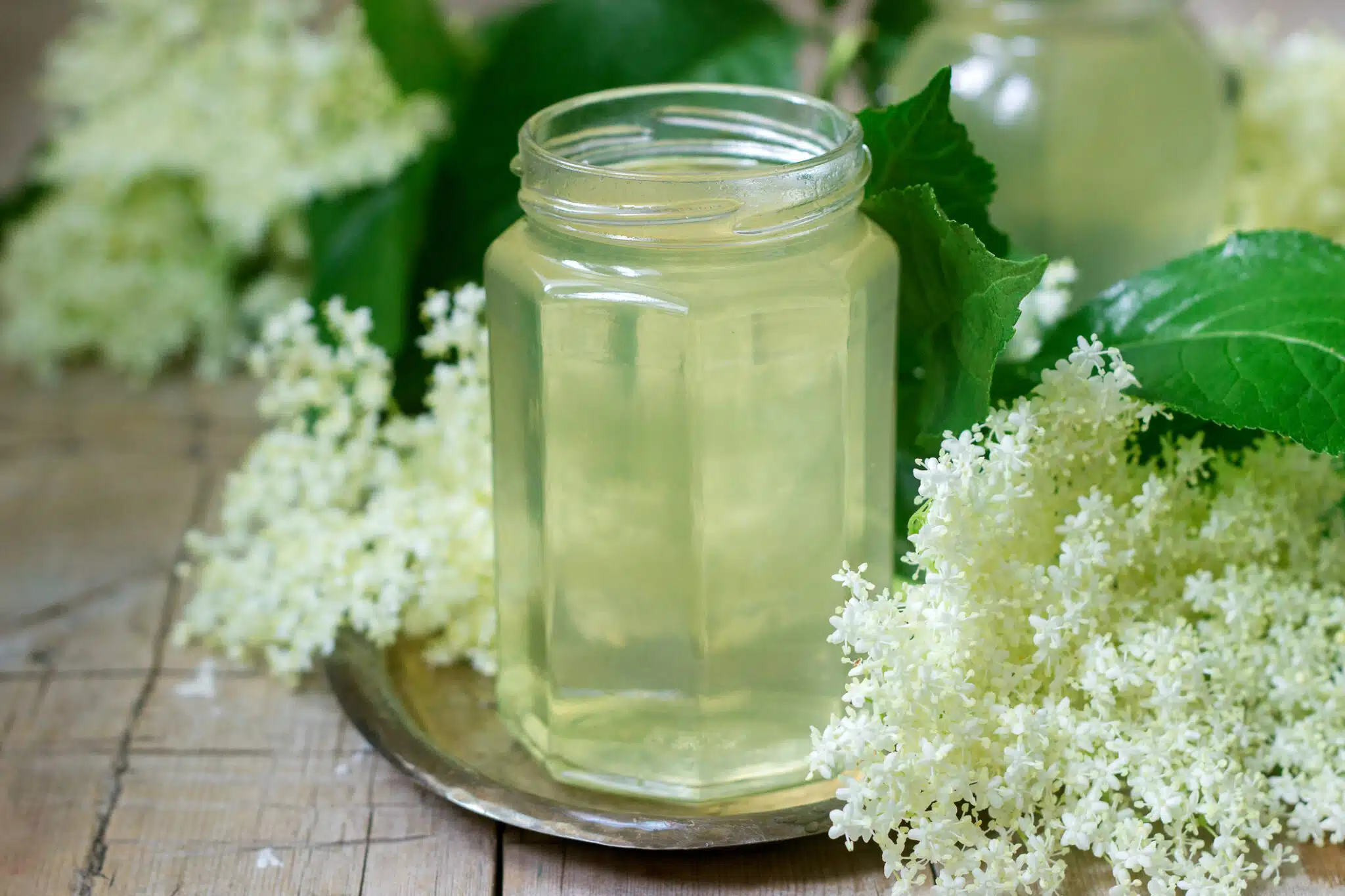 sirop de fleurs de sureau gel&eacute;e confitures de fleurs maison recettes