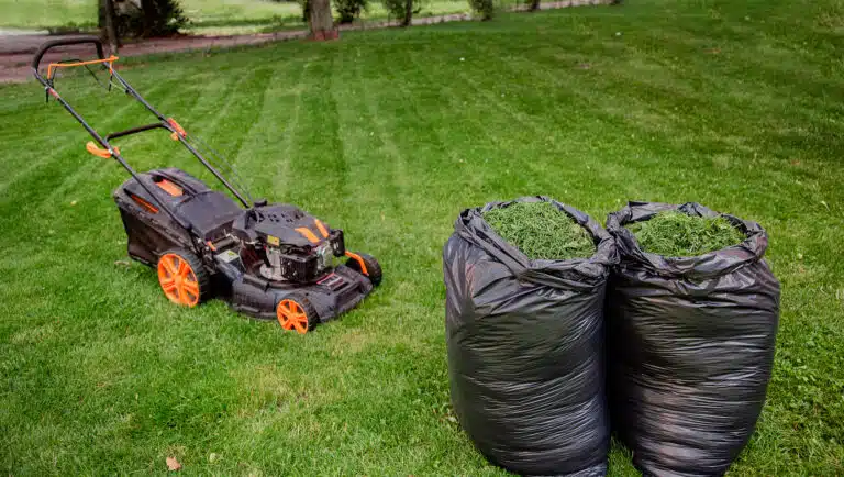 tondre une pelouse de jardin tondeuse sacs noirs avec tontes d'herbe coup&eacute;e