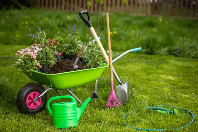 Brouette avec des outils de jardinage dans le jardin