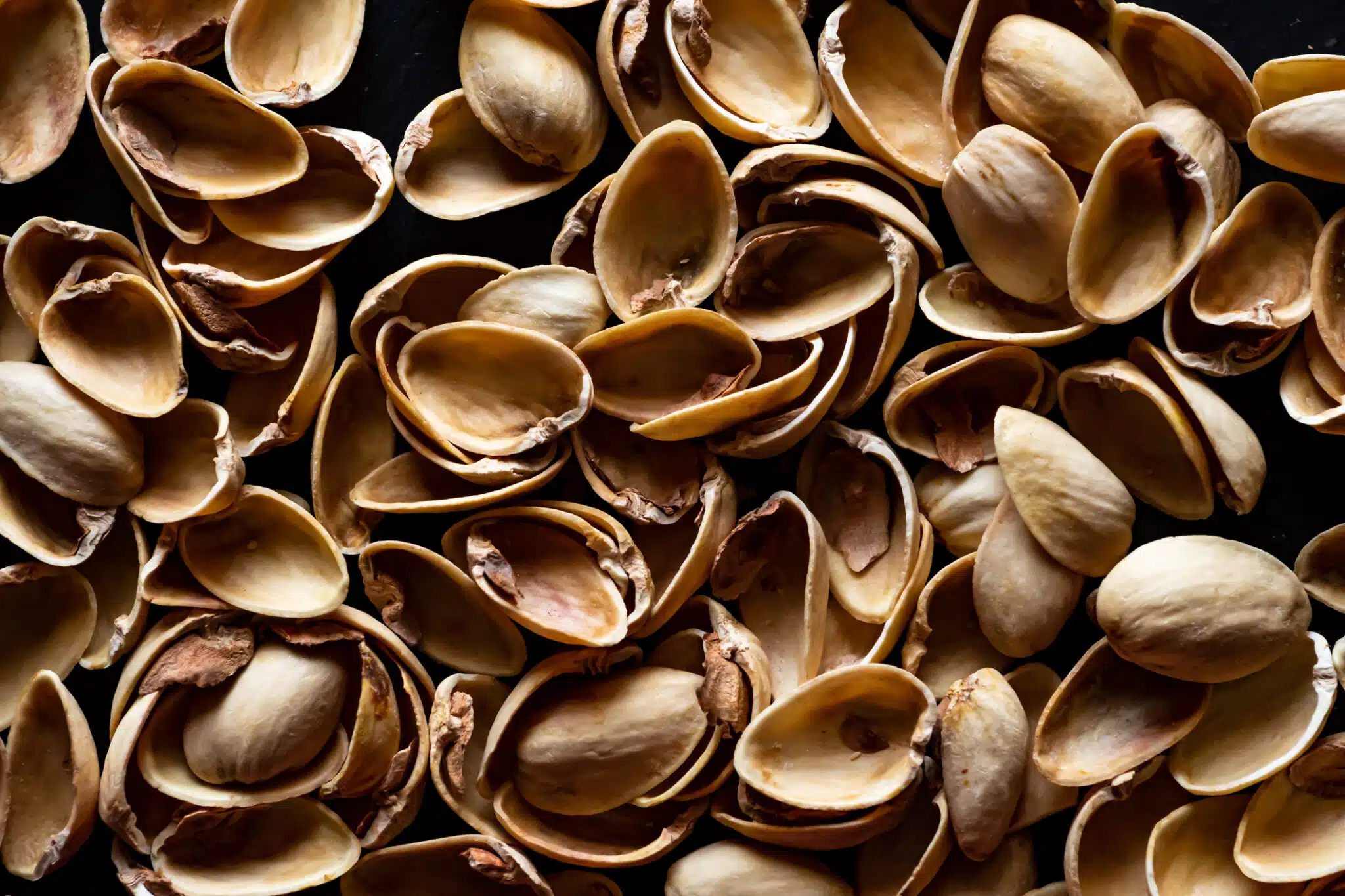 Coquilles de pistaches coques