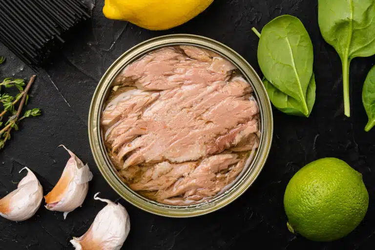 Thon sauvage albacore en conserve bo&icirc;te de thon huile