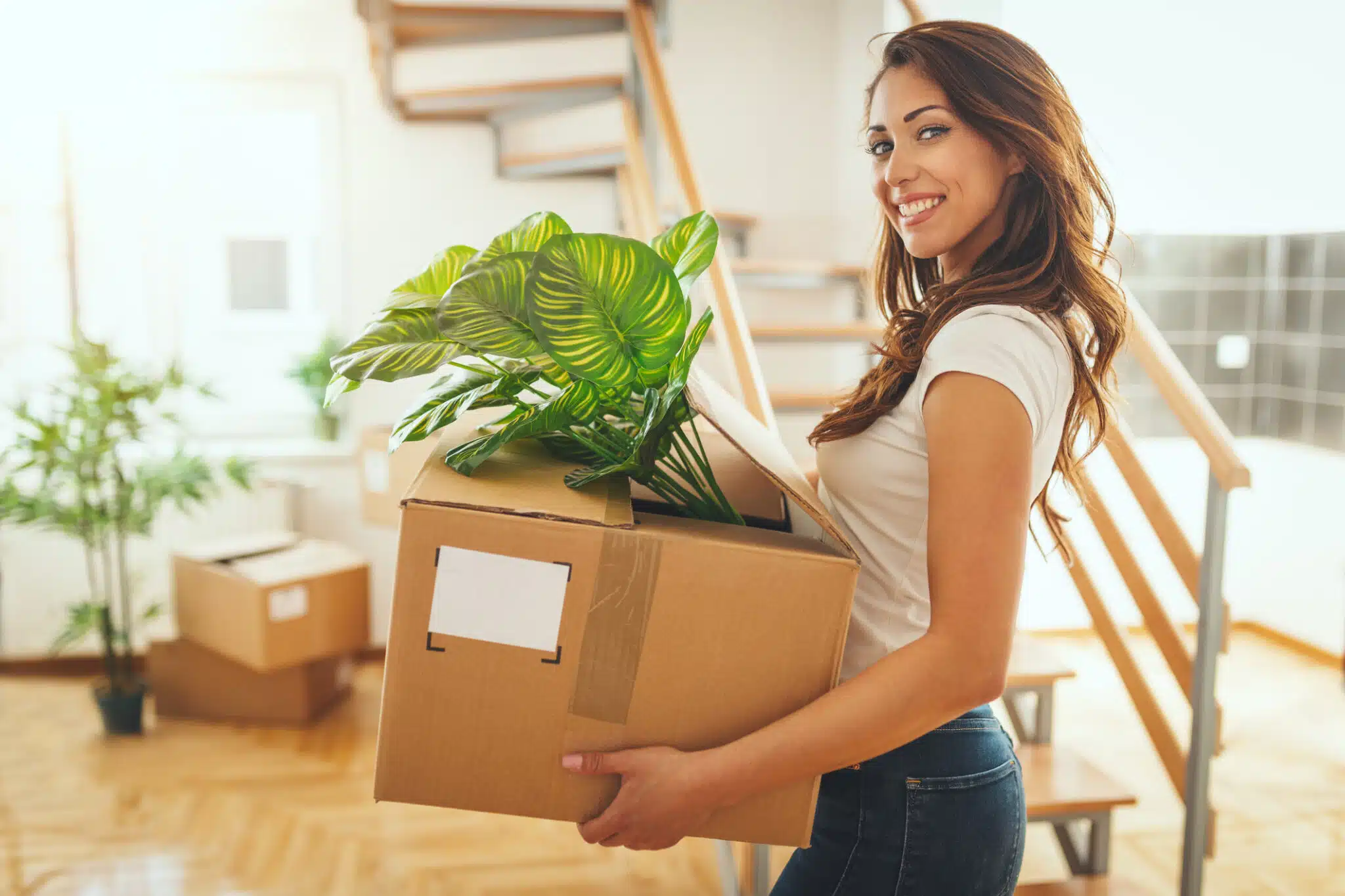 déménagement déménager avec ses plantes