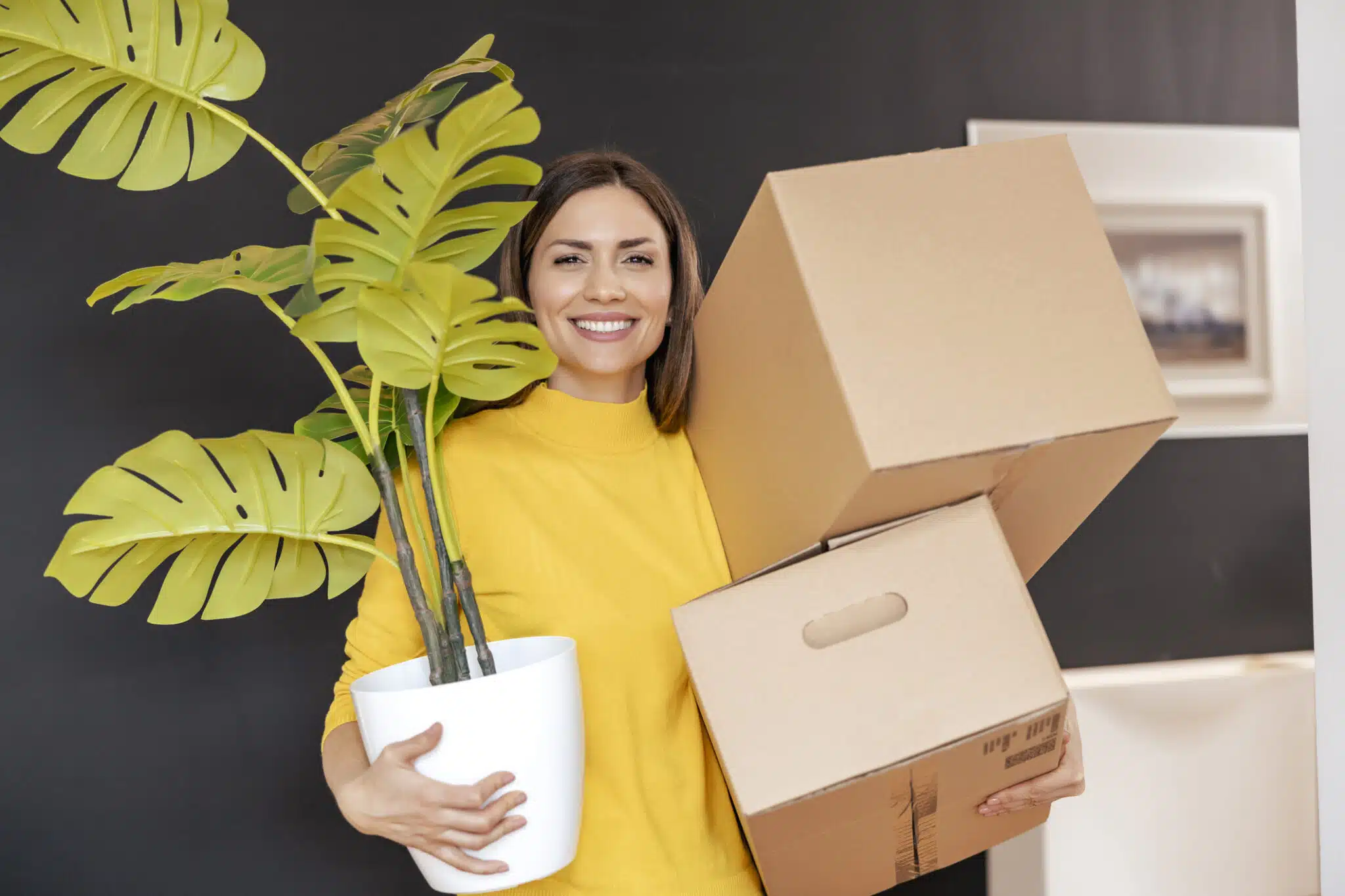 d&eacute;m&eacute;nager avec ses plantes d&eacute;m&eacute;nagement 