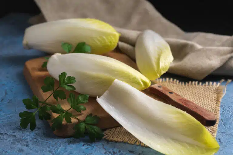 endives fra&icirc;ches