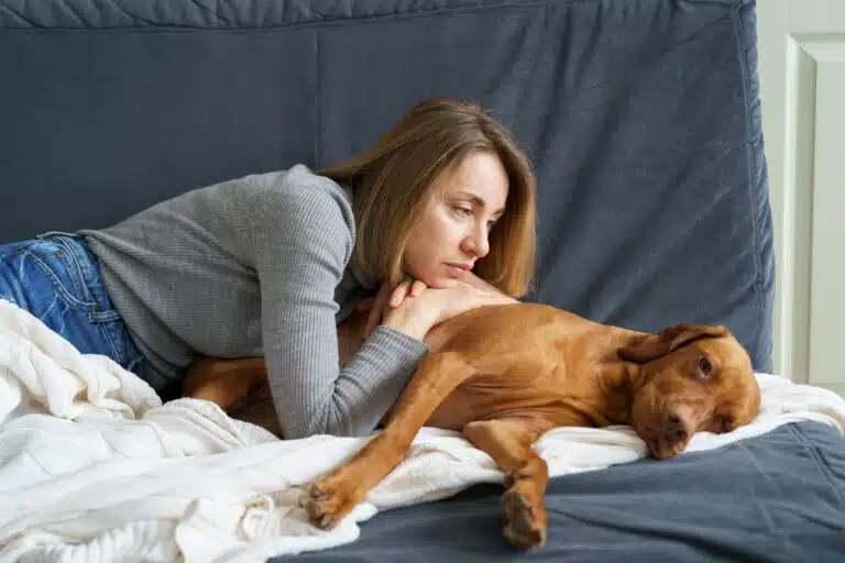 vieux chien âgé animal senior malade