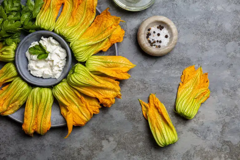 Ingr&eacute;dients crus pour la cuisson des fleurs de courgette farcies &agrave; la ricotta